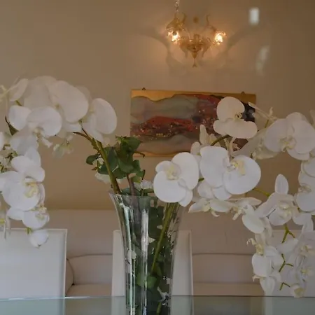 Elegante Apartamento *